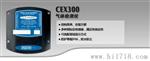 供应固定式气测仪(CEX 300)