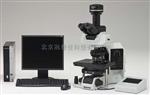 光学奥林巴斯BX43显微镜--优质供应商销售