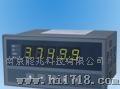 供应NZ-XSM系列转速/线速/频率测量控制仪