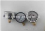 生产各种润滑泵上使用多种规格压力表