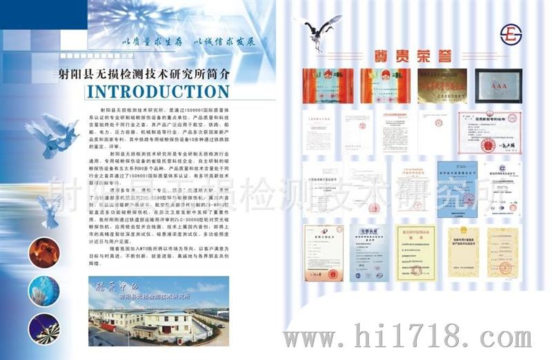 钩舌磁粉探伤DZS-S型