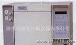 供应滕海公司GC-2000TCD气相色谱仪