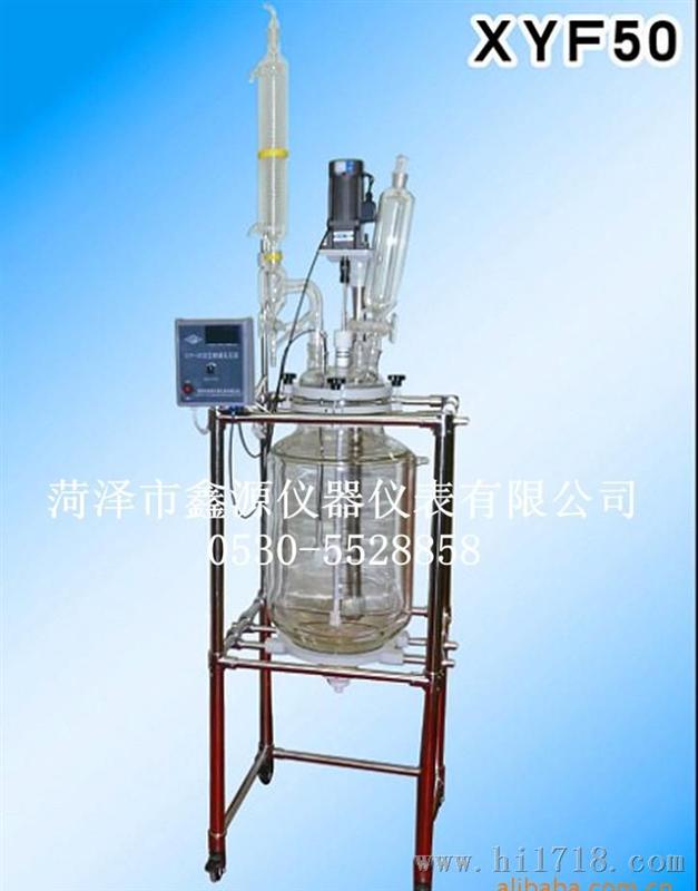 山东鑫源生产销售供应RYF50/L双层玻璃反应釜