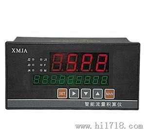 ZK-XMJA系列智能流量积算仪  智能化仪器  显示仪表  二次仪表