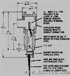 Dwyer V4系列 防爆叶片式流量开关(图)