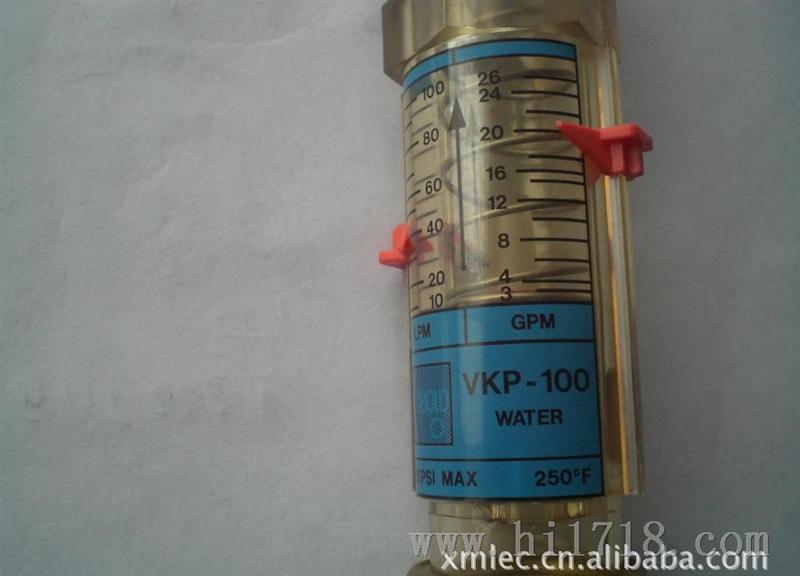 供应VKP-100流量计