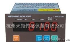 称重配料控制仪表 配料控制器TG8100