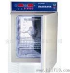 厂家批发DNP-9022-1智能数显电热恒温培养箱