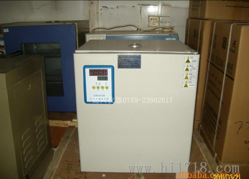 DH2500电热恒温培养箱