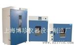 DHG-9205A台式300度电热恒温鼓风干燥箱 老化箱 烘箱