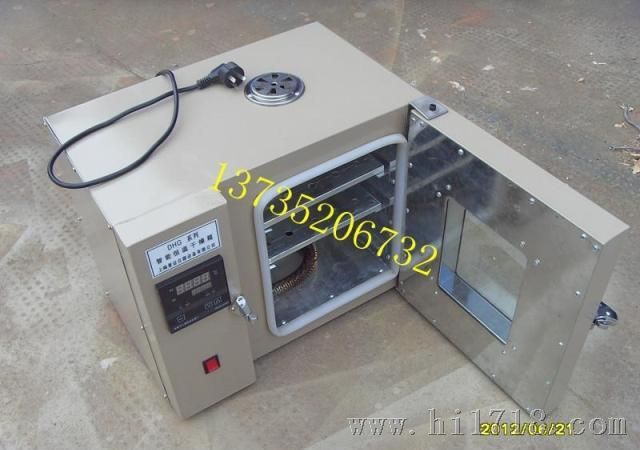 DNP303-0A电热恒温培养箱数显QS