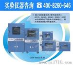 上海一恒DZF-6050B精密真空干燥箱（程序控制）生物