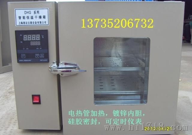 303A-0电热恒温数显培养箱