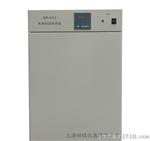 上海供应DHP-9052电热恒温培养箱