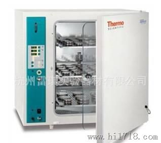 Thermo Scientific BBD6220 CO2细胞培养箱 220 L