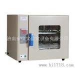 恒温培养箱 电热恒温培养箱 上海HPX-9272E