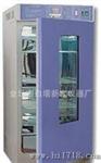 数显霉菌培养箱150A-XB