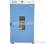 大容积DHG-9620A电热恒温鼓风干燥箱