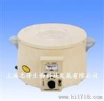 智能数显电热套ZNHW-1000ml