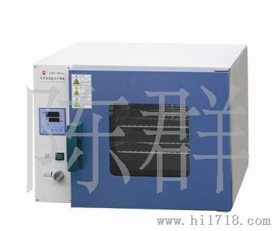 DHG-9053A电热古风干燥箱