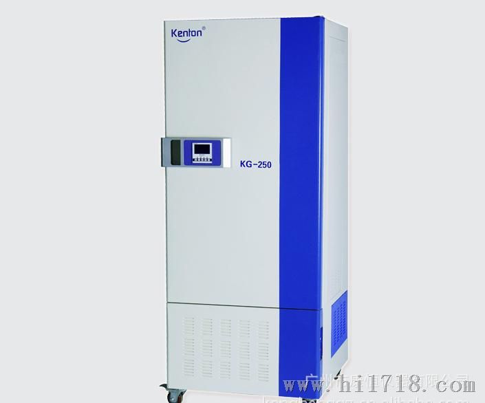 KG-250综合药品稳定试验箱 广东广州康恒仪器药品试验箱