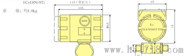 PT201变送器
