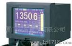 【 五年质保】安东LU-R2100温度记录仪