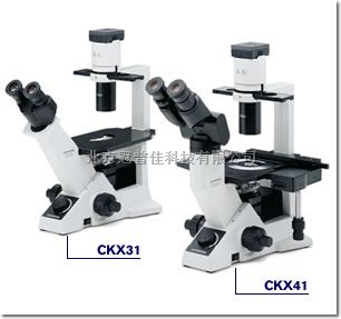 名--奥林巴斯CX31显微镜销售