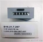 B16.21.7.267德国计数器