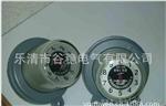 【生产加工 】JS-8 避雷器放电计数器【质量】