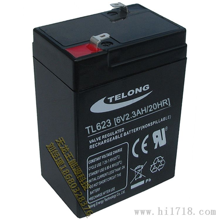6V4Ah 铅酸蓄电池 品牌TELONG型号TL1240
