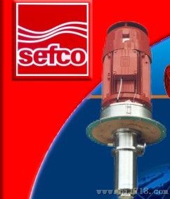 SEFCO泵CL-13/EM-2.2