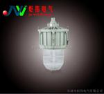 BAD82-L100爆HID灯(ⅡC) 100W爆灯
