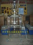 双层玻璃反应器