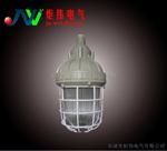 BAD62-L150爆灯(ⅡC) BAD62隔爆型爆灯厂家