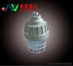 BAD62-L150爆灯(ⅡC) BAD62隔爆型爆灯厂家