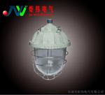 BAD51-L100隔爆型爆灯（ⅡB）价格 BAD5-L100厂家