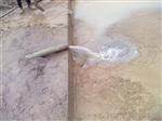 浙江沙场泥水分离设备生产厂家，洗沙泥水泥浆分离脱水设备哪里买有卖