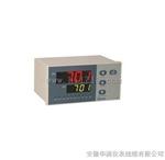 HRXMTD-1014G温度显示仪生产厂家/供应商/价格