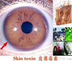 500万像素电脑型U虹膜仪