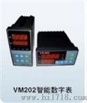 VM202智能数字表（VM202型）