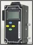 在线微量氧分析仪 (GPR-1500)