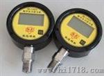 电池供电数字显示压力表（BD-1001X）