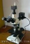 M-30D正置金相显微镜