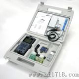 手持式PH/mV测试仪（pH3110）