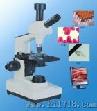 螨虫检测显微镜（WSV-300）