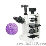 XDS-50D研究级倒置式生物显微镜