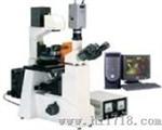 倒置荧光显微镜（XDS-500C）