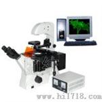 无限远倒置荧光显微镜（TFM-770V）