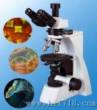 型偏光显微镜（WSP-100）